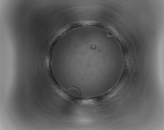 X0000116550357200912101418