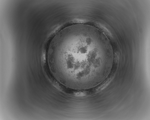 X0000116550358200912101419