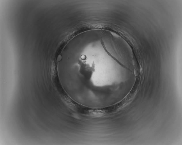 X0000116550359200912101419