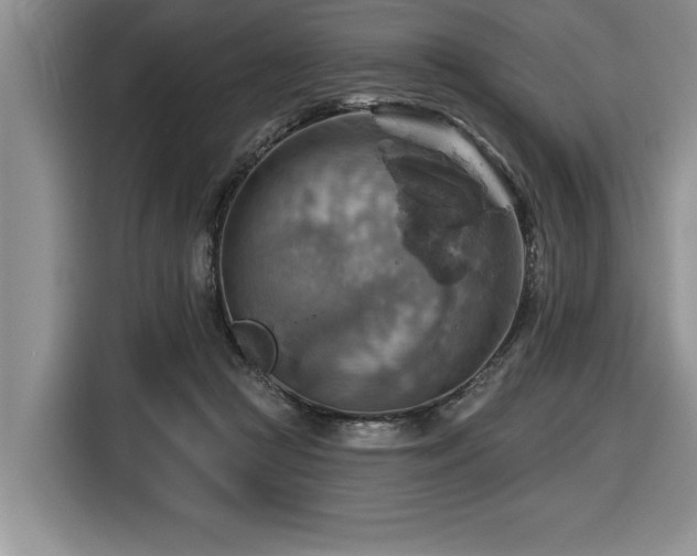 X0000116550361200912101419