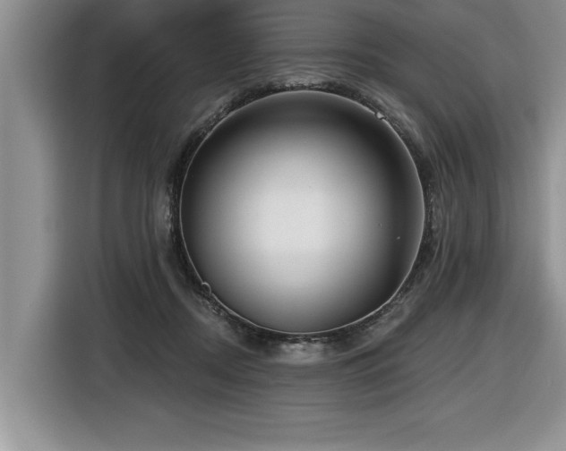 X0000116550362200912101419