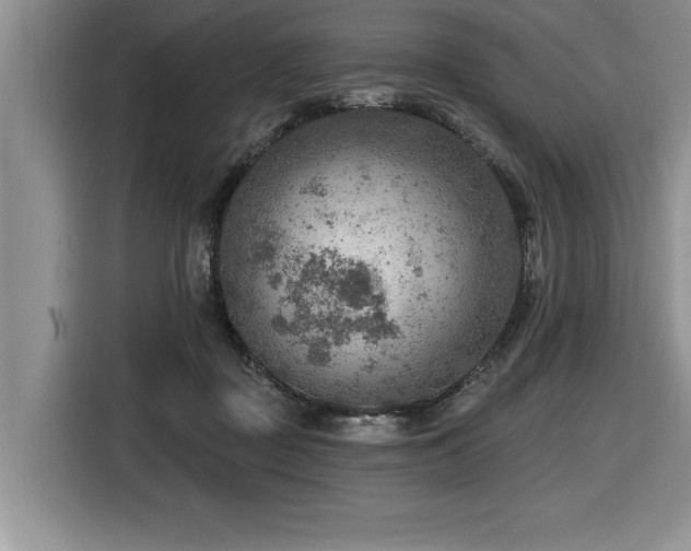 X0000116550363200912101419