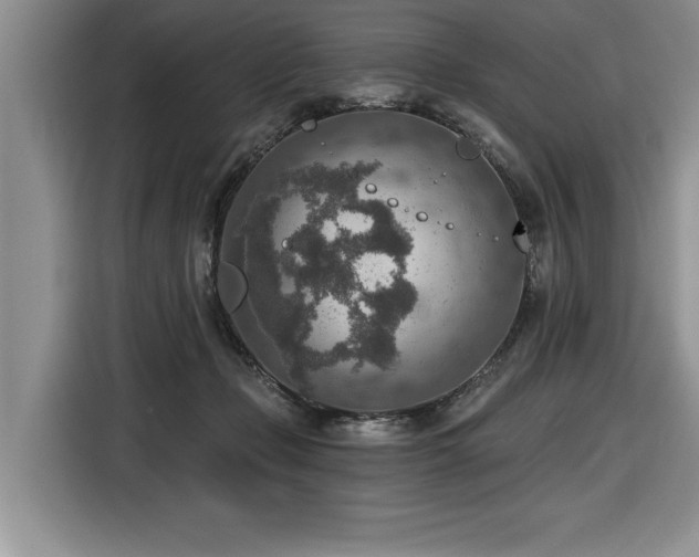 X0000116550365200912101419