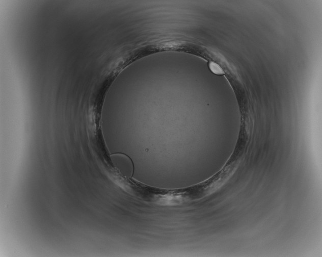 X0000116550366200912101419