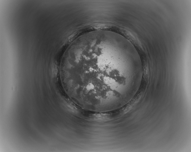 X0000116550367200912101419