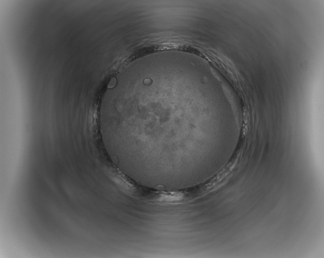 X0000116550369200912101419