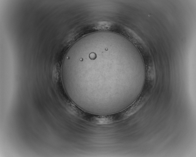 X0000116550370200912101419