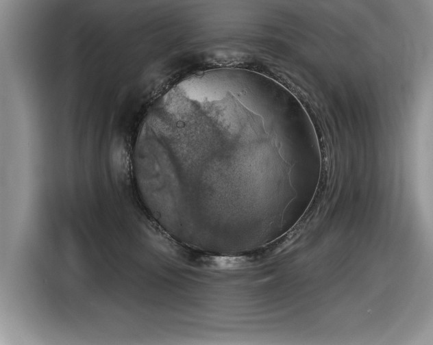 X0000116550371200912101419