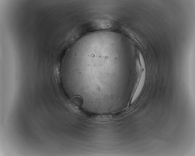 X0000116550373200912101419