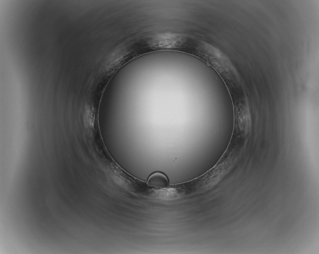 X0000116550374200912101419