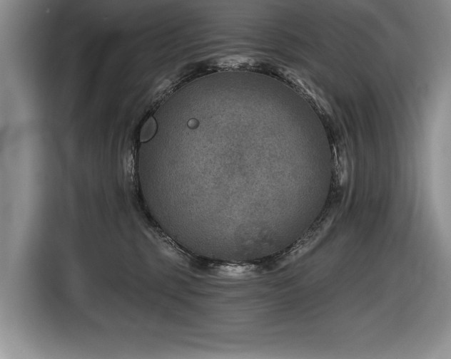 X0000116550375200912101419