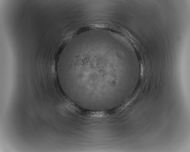 X0000116550377200912101419