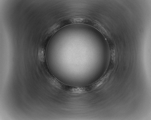 X0000116550378200912101419