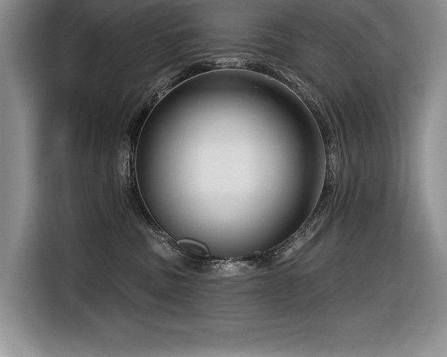 X0000116550379200912101419