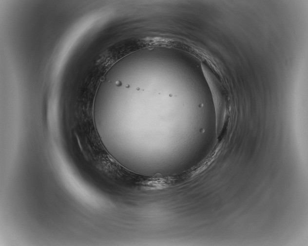 X0000116550381200912101419