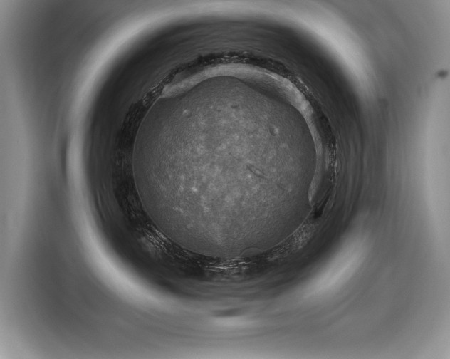 X0000116550383200912101419