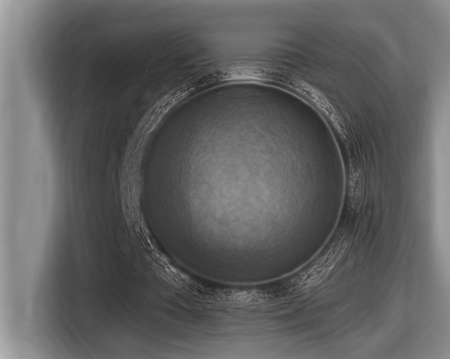 X0000116550385200912101418