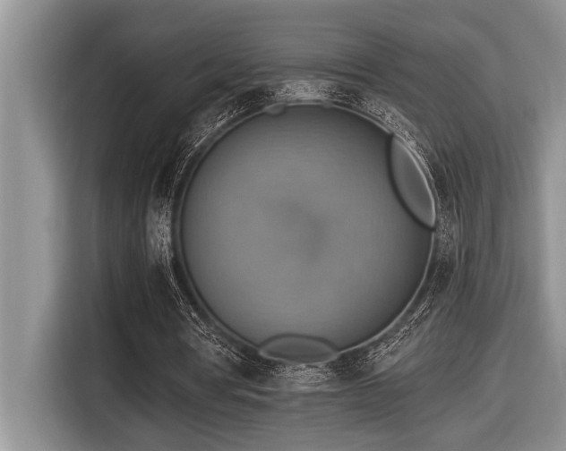 X0000116550386200912101418