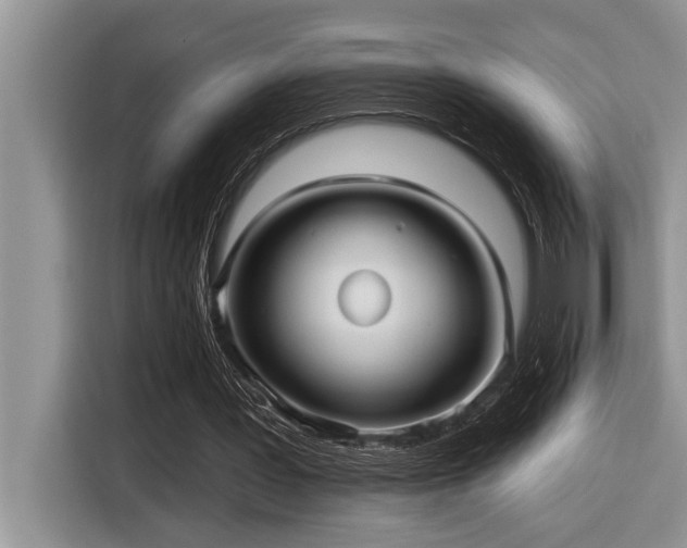 X0000116550387200912101418