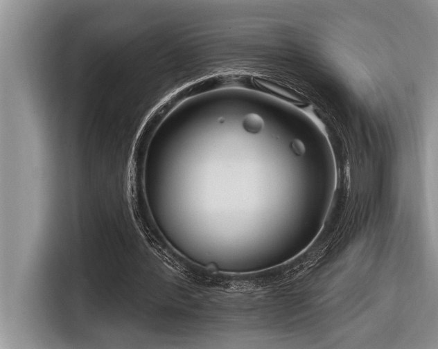 X0000116550388200912101418