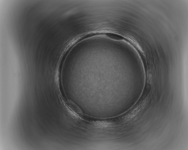 X0000116550389200912101418