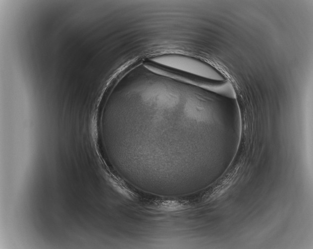 X0000116550390200912101418