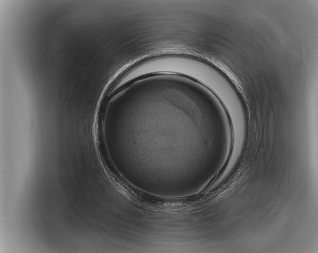 X0000116550391200912101418