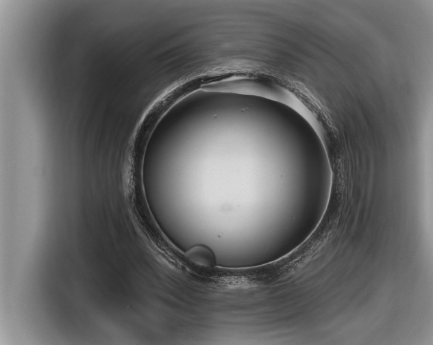 X0000116550392200912101418