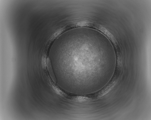 X0000116550393200912101418