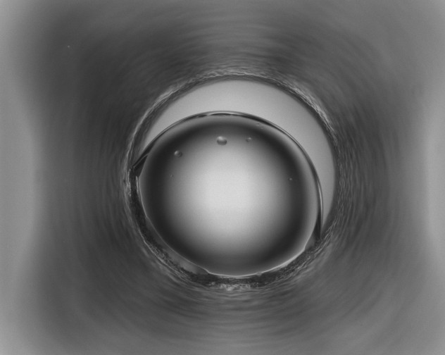 X0000116550395200912101418