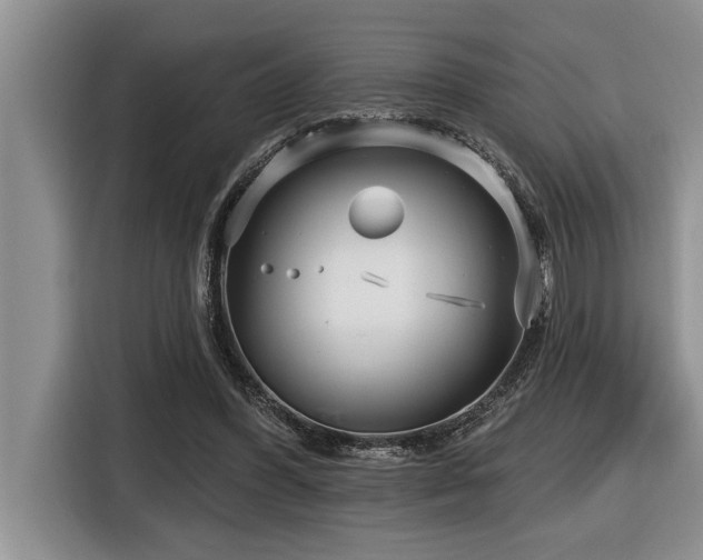 X0000116550396200912101418