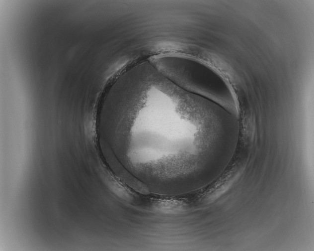 X0000116550399200912101418