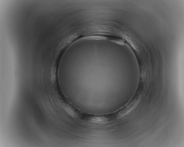 X0000116550402200912101418