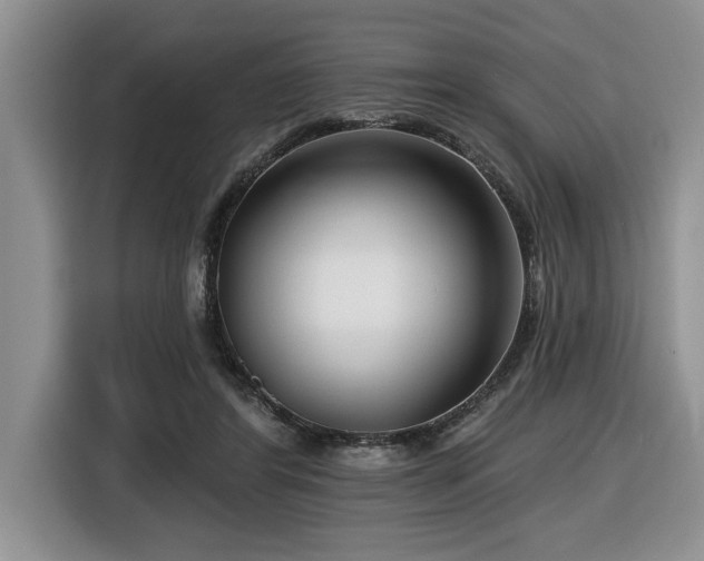 X0000116550404200912101418