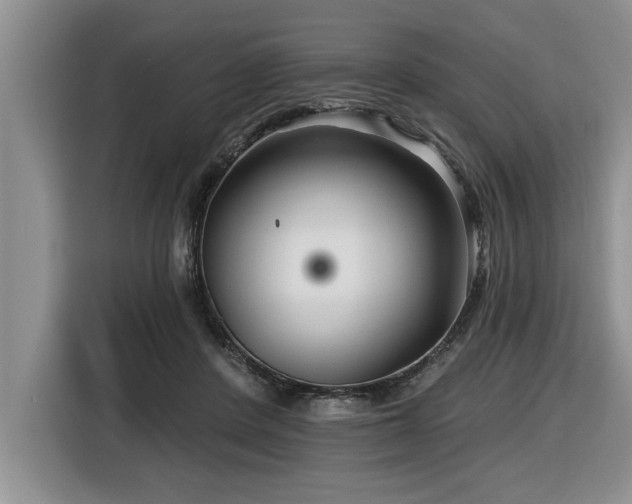 X0000116550408200912101418