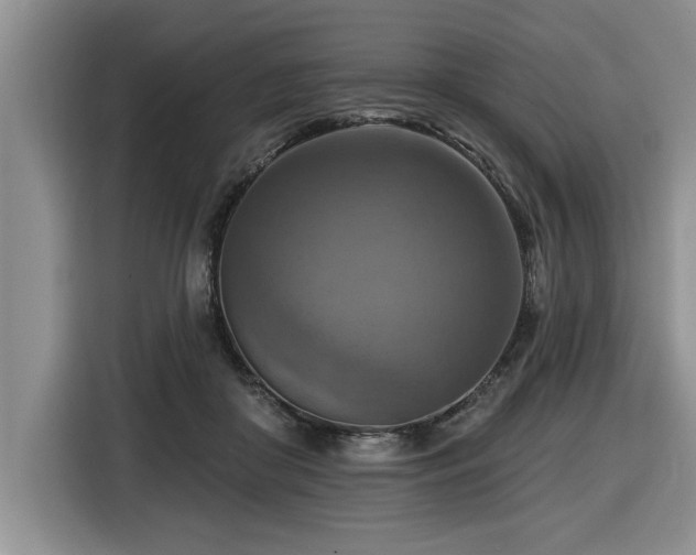 X0000116550410200912101418