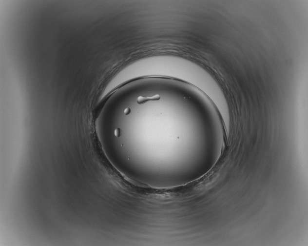 X0000116550411200912101418