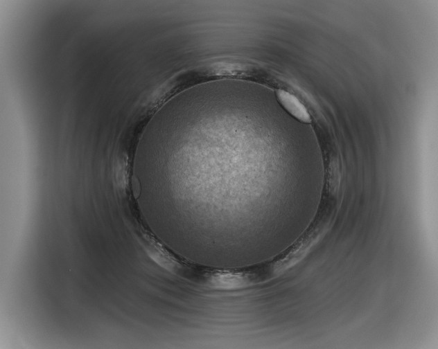 X0000116550413200912101418