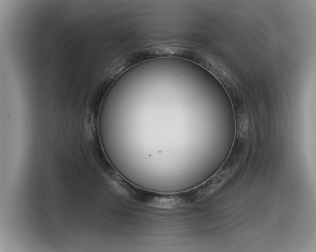 X0000116550414200912101418