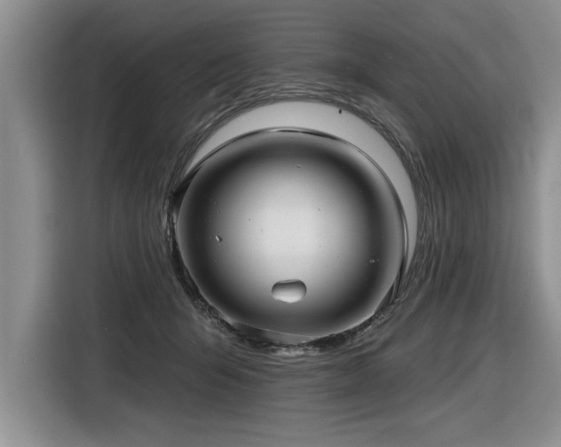 X0000116550415200912101418