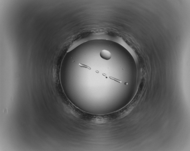 X0000116550416200912101418