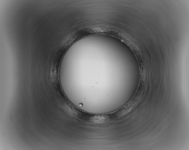 X0000116550418200912101418