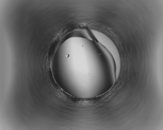 X0000116550419200912101418