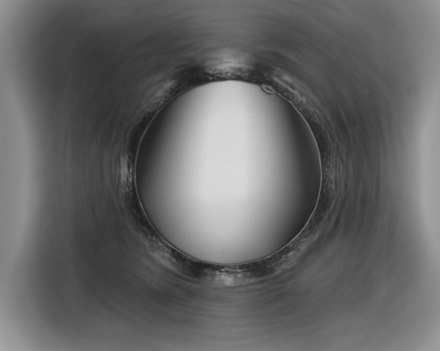 X0000116550420200912101418