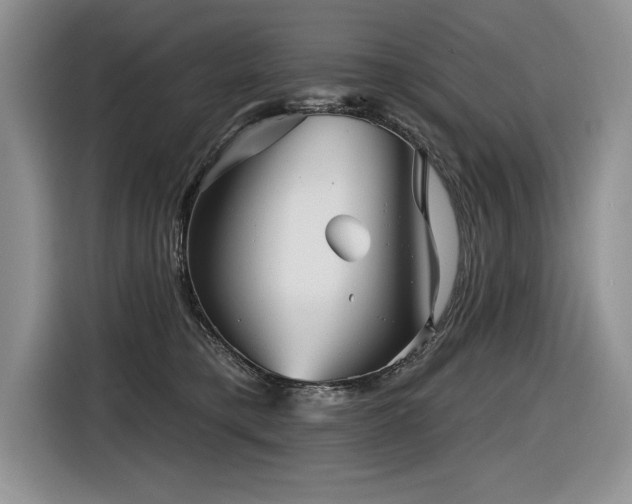 X0000116550421200912101418