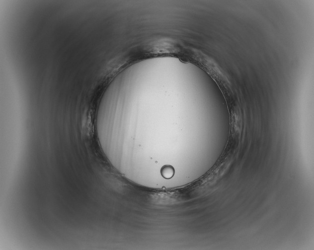 X0000116550422200912101418