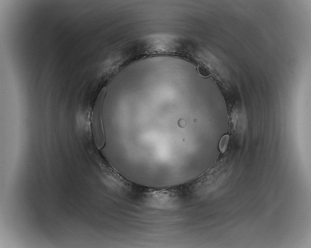 X0000116550423200912101418