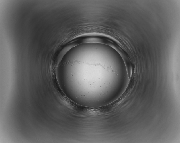 X0000116550424200912101418