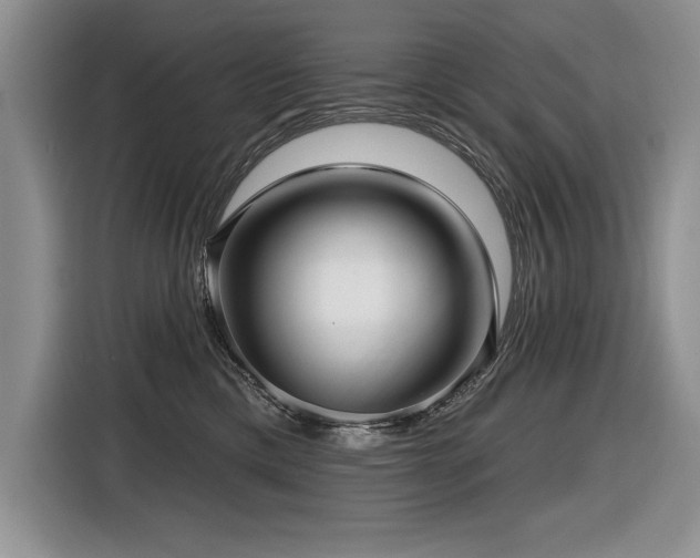 X0000116550425200912101418