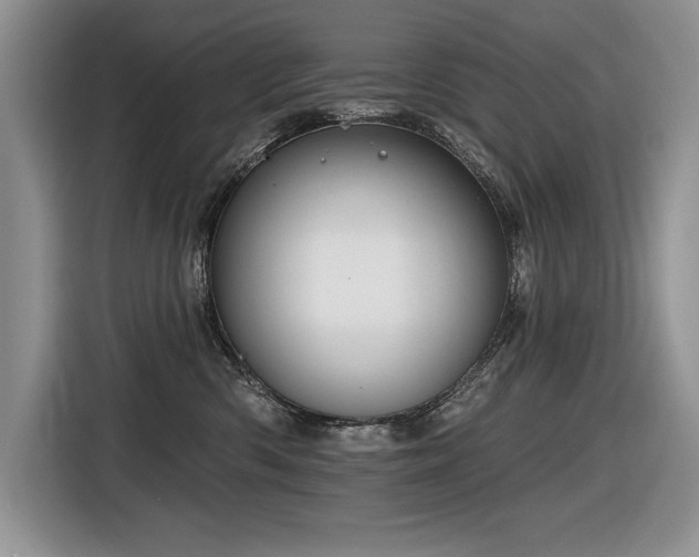 X0000116550426200912101418